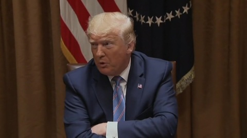 Трамп счел ужасным дистанционное обучение