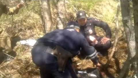 "Не надо было бежать": на Камчатке медведь-людоед задрал рыбака