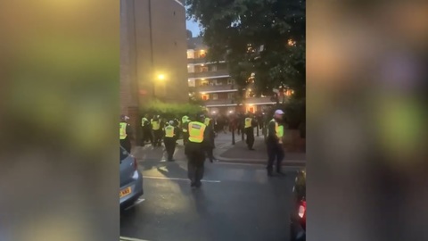 Полицейские получили травмы при попытке разогнать вечеринку в Лондоне. Видео