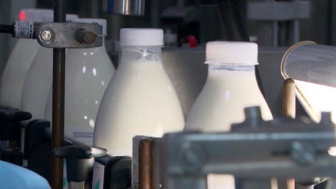 В Марий Эл нашли некачественную молочную продукцию