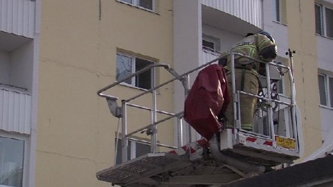 Спасти кота: жители тюменской многоэтажки вызвали МЧС
