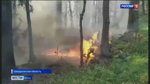 Пожар в заповеднике "Денежкин камень" потушить не удается