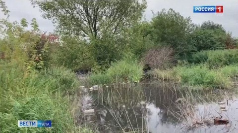 Специалисты выясняют причины разлива химотходов в Новомосковске