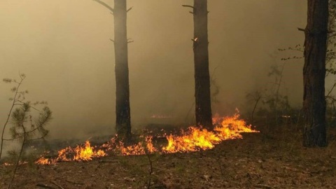 В Севастополе установлен наивысший класс пожарной опасности