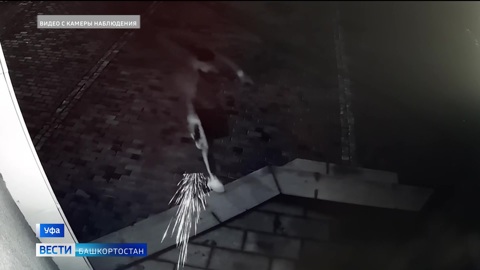 Полиция задержала участников перестрелки в Уфе