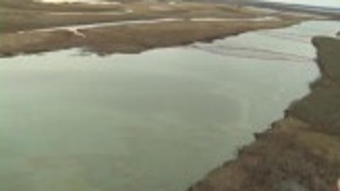 Экосистему в районе ЧП на Норильской ТЭЦ изучат ученые