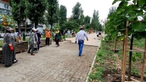 Построенный властями сквер в Махачкале снесли по решению суда