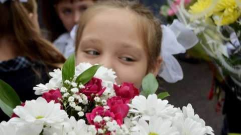 В воронежских школах линейки в День знаний пройдут не для всех