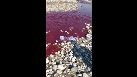 В Кабардино-Балкарии вода в реке стала алой