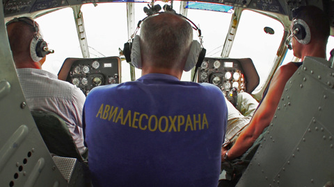 Лесопожарные службы за сутки ликвидировали 49 природных пожаров