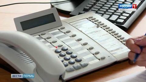 В Перми запустят горячую линию по началу работы школ и детских садов