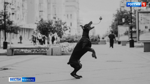 Во всем мире празднуется День фотографии