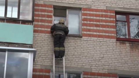 Пес взял в заложники российскую семью