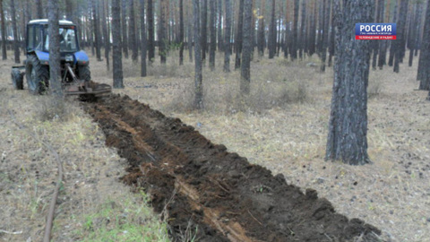 Противопожарное обустройство лесов Нижегородской области выполнено на 85%