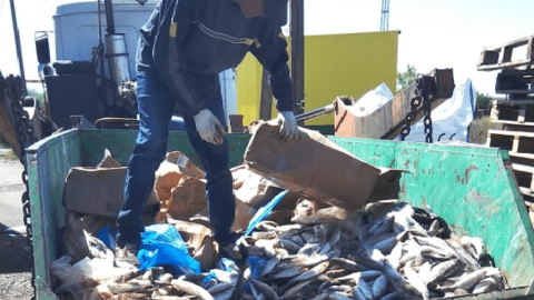 Грузовик полный кефали: на Кубани арестовали 2,5 тонны рыбы