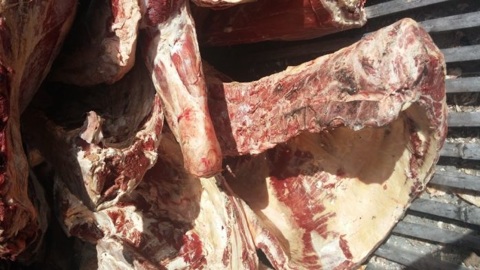 Пациентов детской больницы во Владимире накормили просроченным мясом