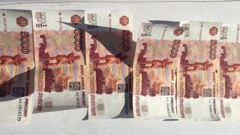 Житель Пензы шесть раз купил алкоголь на фальшивые деньги