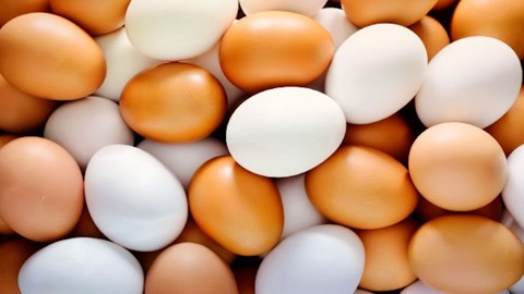 Новосибирскую продукцию животноводства экспортировали в 15 стран с начала года