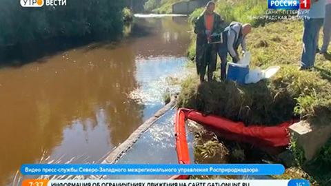 Река Сестра в Курортном районе терпит экологическое бедствие