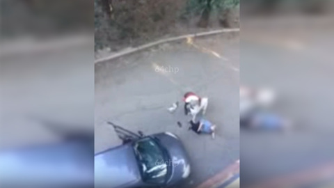 Алабай растерзал кошку и покусал женщину в Саратове. Видео