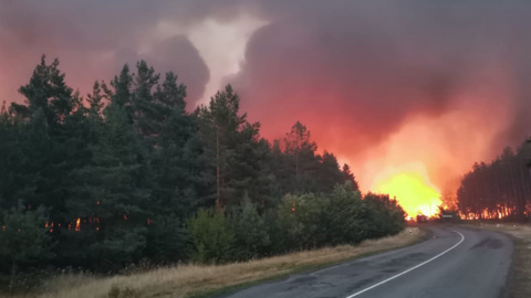 Пожар рядом с трассой "Дон" тушили почти девять часов