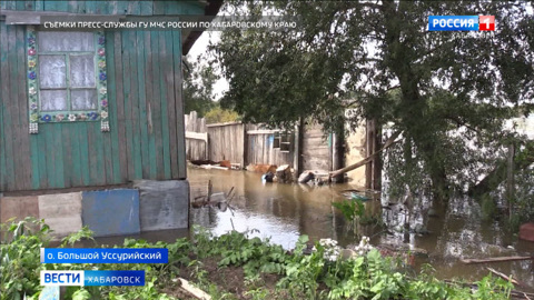 На Большом Уссурийском острове началось подтопление дачных участков