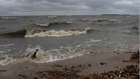 На Рыбинском водохранилище произошло ЧП с сухогрузом