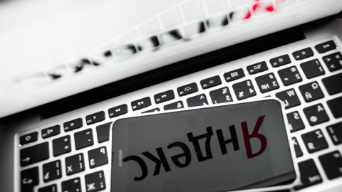 Как заработать деньги и вызвать фею: что чаще всего ищут школьники в интернете