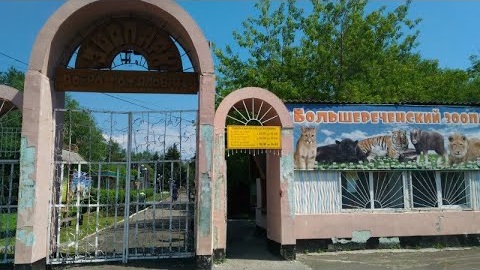 Птичий грипп выявлен уже в 13 районах Омской области