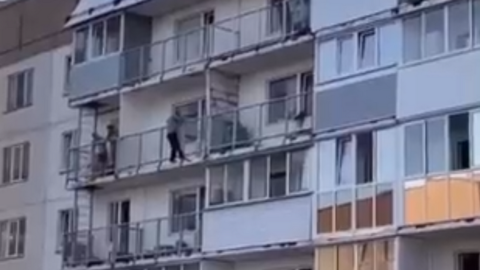 Новосибирец спас застрявшую в вентиляционном колодце кошку