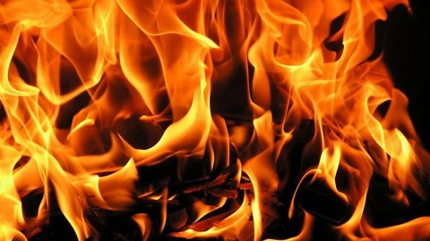 Женщина с ребенком погибли при пожаре в Вологодской области