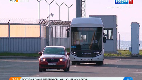 Петербург пересаживается с маршруток на электробусы