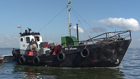 В Калининградском и Куршском заливах Балтийского моря начинается осенняя путина