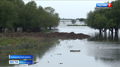 Режим ЧС: вода отвоевывает территорию левобережных островов под Хабаровском