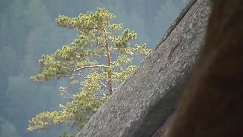 На Столбах со скалы сорвался турист