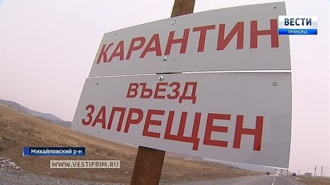 Опасный вирус охватил восемь муниципалитетов Приморья