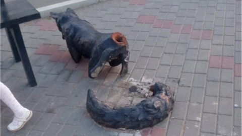 Попыталась обнять. Лиса травмировала маленькую девочку в Троицке