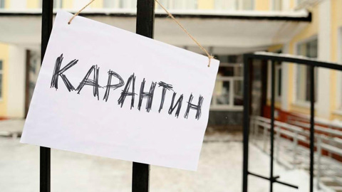 Школьников Череповца перевели на дистанционное обучение из-за вспышки коронавируса