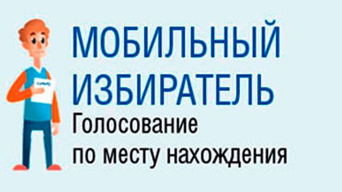 270 мобильных избирательных участков будут работать во время выборов в Казани