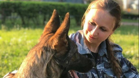Полицейский пес спас школьницу от изнасилования