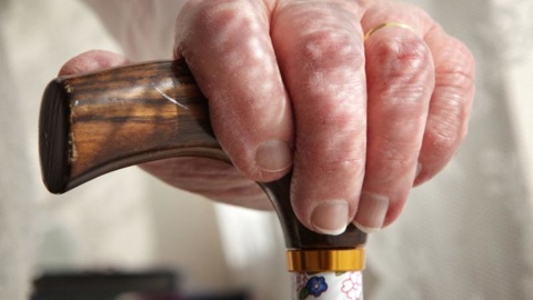 86-летняя тамбовчанка "вылечила суставы" за 52 тысячи рублей