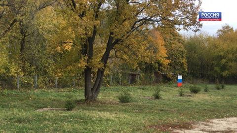 Экологический проект "Хвойный город" стартовал в Нижнем Новгороде