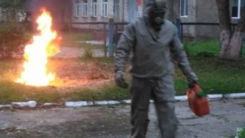 За время карантина детский сад в приморском поселке оккупировали шершни