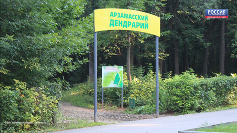 В Арзамасе благоустроят дендрарий – памятник природы регионального значения