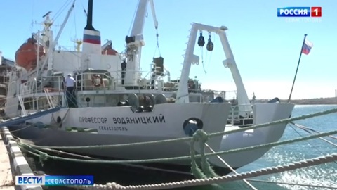 Ученые из Севастополя изучат влияние машинного масла на обитателей Черного моря