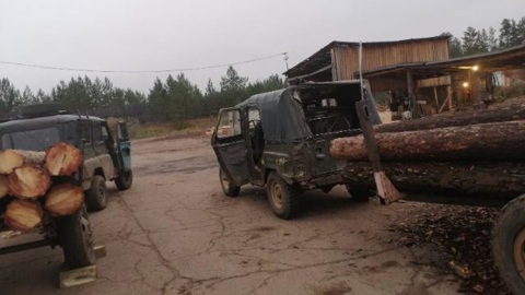 Сотрудники Росгвардии Бурятии задержали черных лесорубов