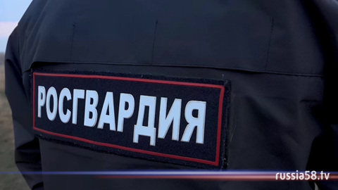 В Пензе задержаны серийные похитители одежды из Мордовии