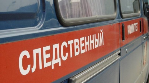 Следком Карелии прокомментировал убийство женщины в Кемском районе