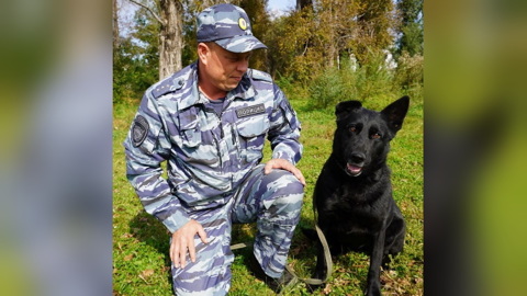 В Приамурье служебная собака помогла поймать грабителя