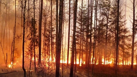 Экстренное предупреждение объявлено на Кубани до 20 сентября